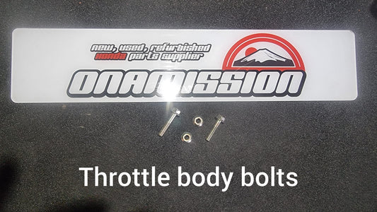 Throttle Body Bolts