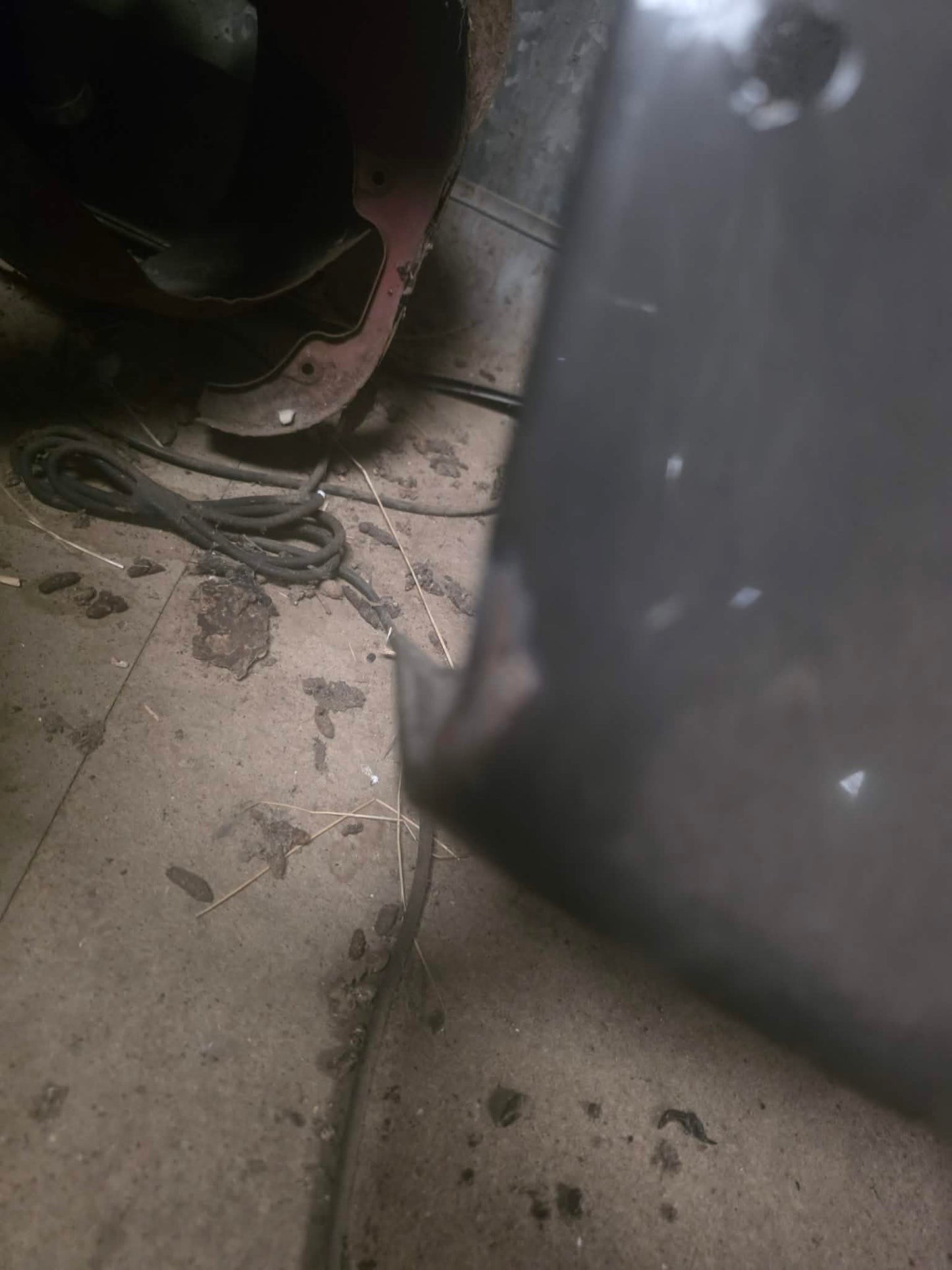 dc5 boot lid tailgate