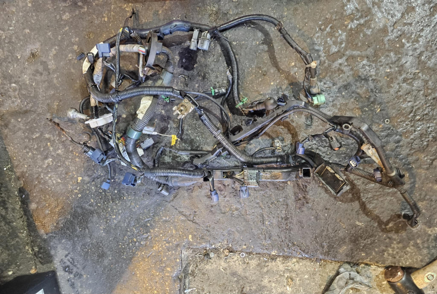 Honda Integra Dc5 engine wiring loom and charge harness