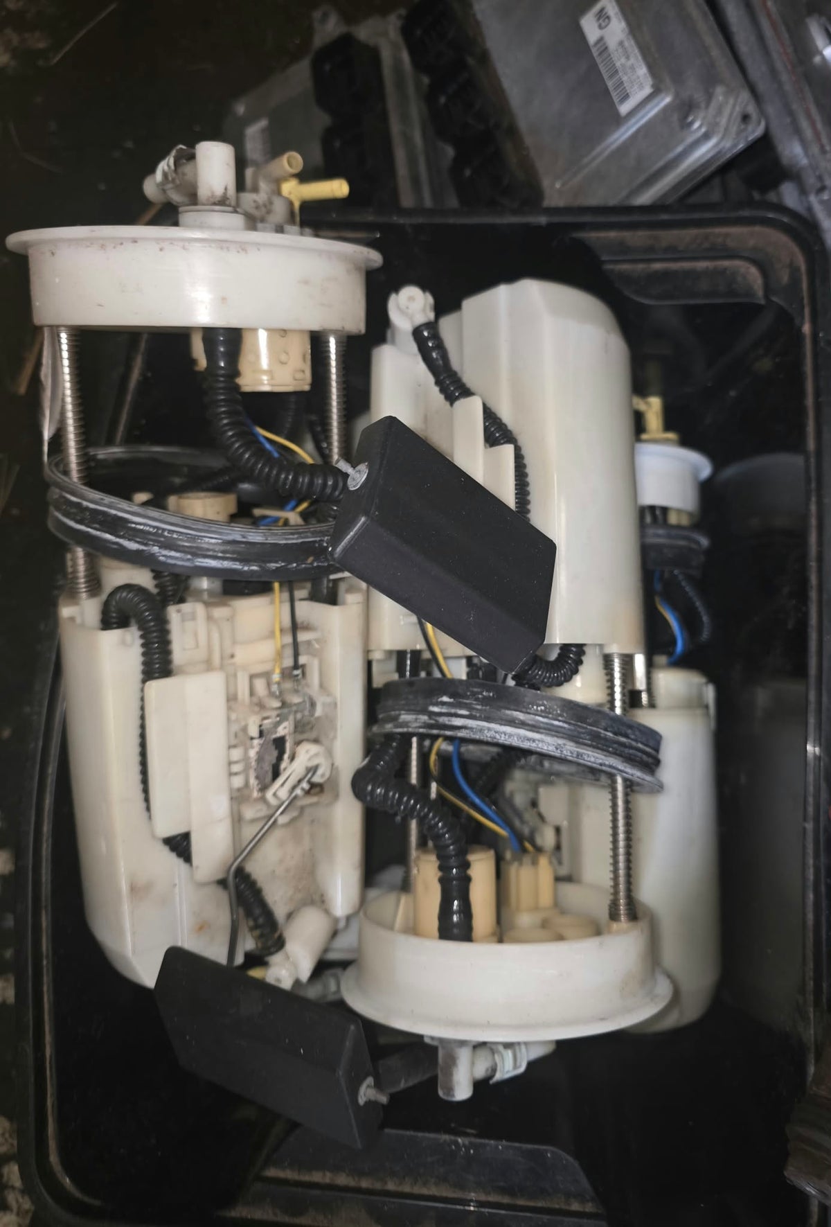 collection of FN2 fuel pumps