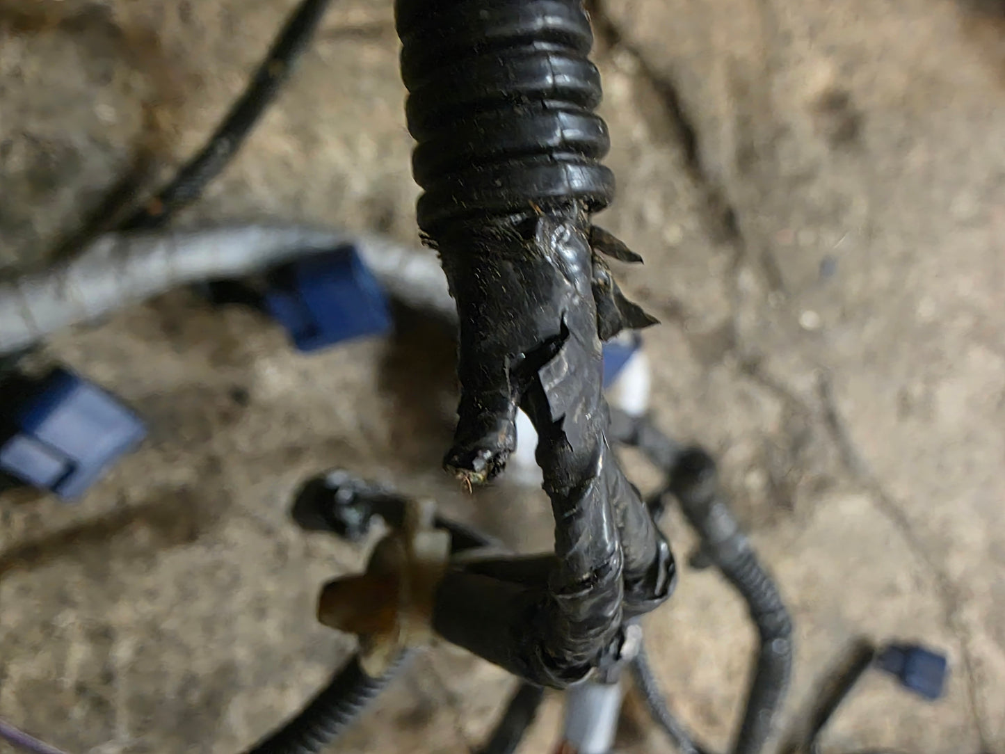 Honda Integra DC5 engine loom - oil pressure sensor missing as damaged