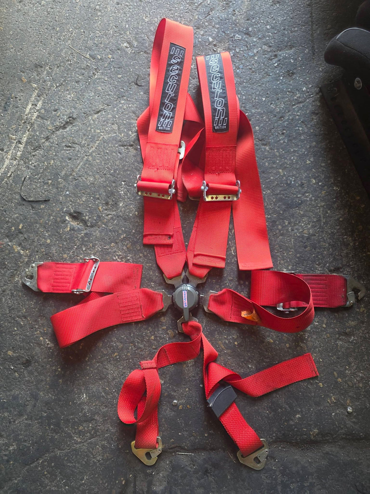 Securon 6 point harness