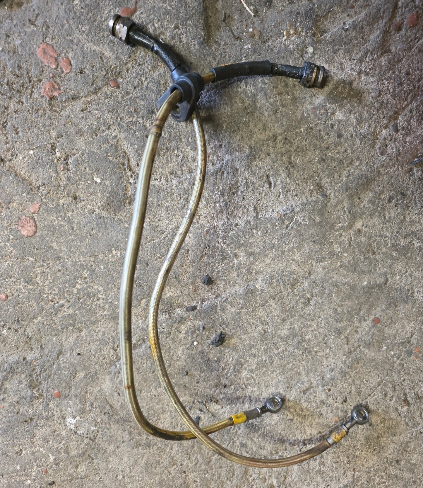 Honda Integra DC5 braided brake lines front